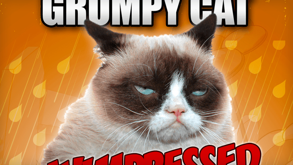 Grumpy Cat Unimpressed